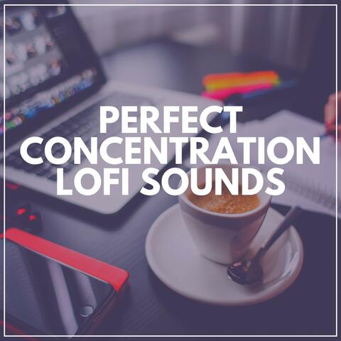 Perfect Concentration Lofi Sounds