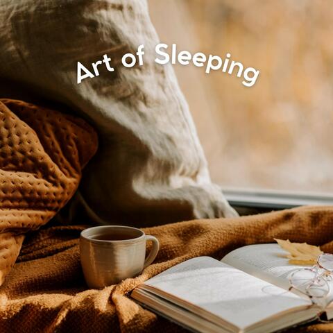 Art of Sleeping