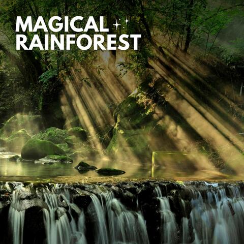 Magical Rainforest