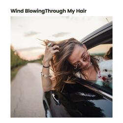 Fall Asleep with Soothing Fan Sounds, Pt. 21