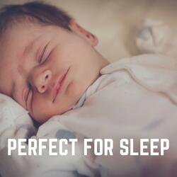 Sweet Dreams Lovely Sounds, Pt. 29