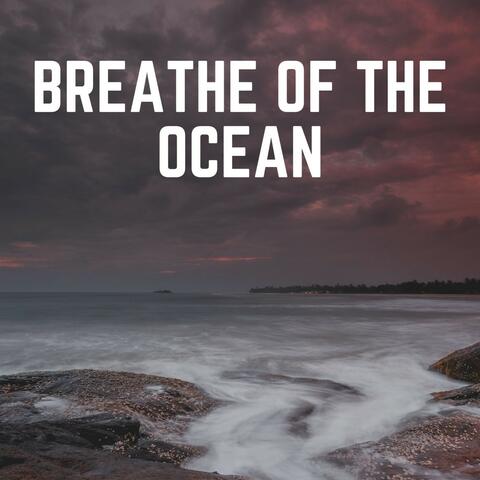 Breathe of the Ocean