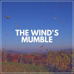 Calm Nature Recordings, Pt. 28
