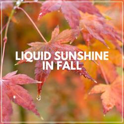 Time to Ponder with Relaxing Rain Sounds, Pt. 30