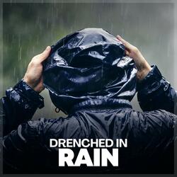 Rain Harmony, Pt. 16