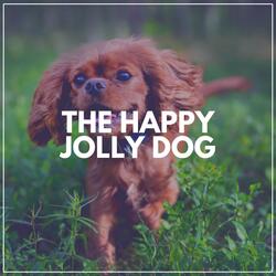 Music for a Calm Hound, Pt. 8