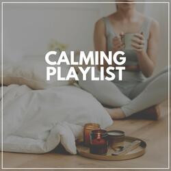 Introspection Music for a Deep Meditative State, Pt. 27