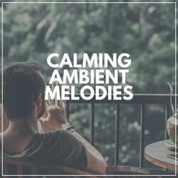 Tranquil Spa Music for Deep Relaxation, Pt. 6