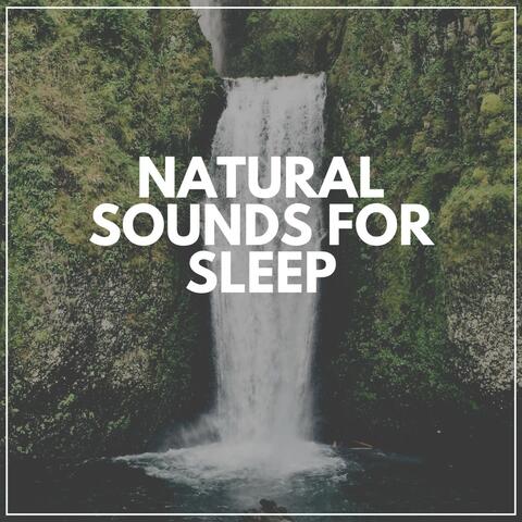 Natural Sounds for Sleep