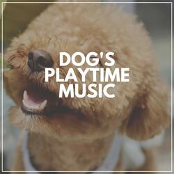 Ultimate Chill Music for Your Dog, Pt. 40