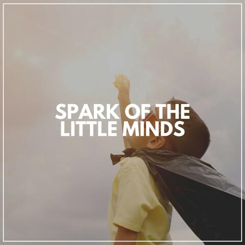 Spark of the Little Minds