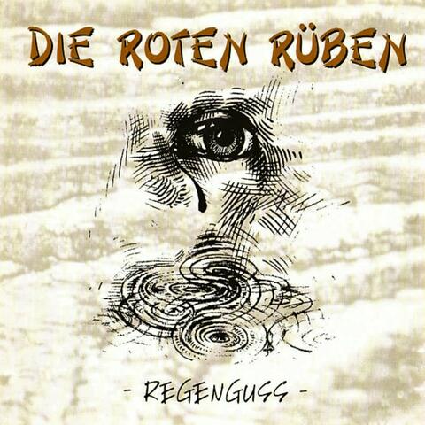 Regenguss