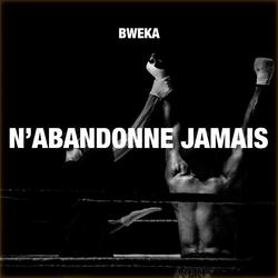 N'abandonne jamais