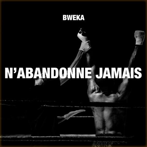 N'abandonne jamais