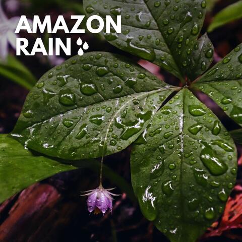 Amazon Rain