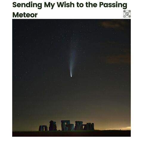 Sending My Wish to the Passing Meteor