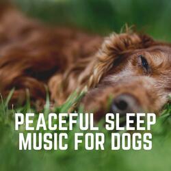 Canine Lullabies, Pt. 3