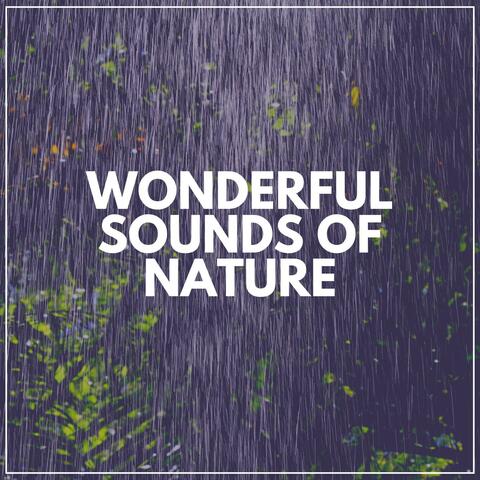 Wonderful Sounds of Nature