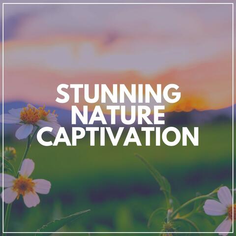 Stunning Nature Captivation