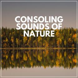 Natural Calmness, Pt. 18