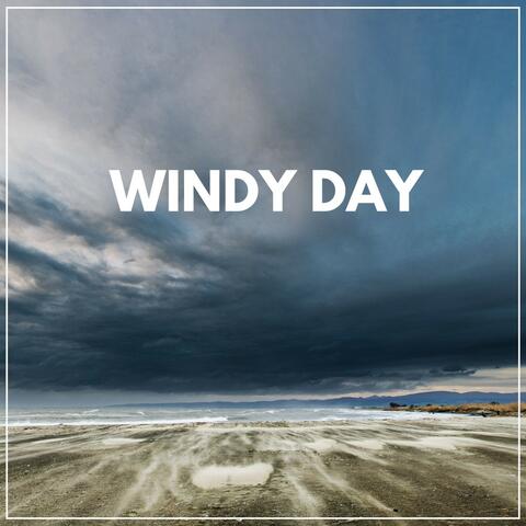 Windy Day