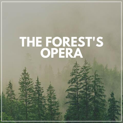 The Forest's Opera