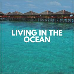 Ocean Observe