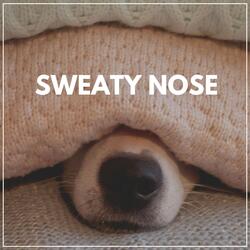 Music for a Calm Hound, Pt. 6