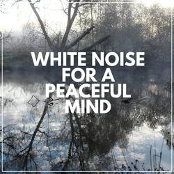 Safe and Calm White Noise, Pt. 2