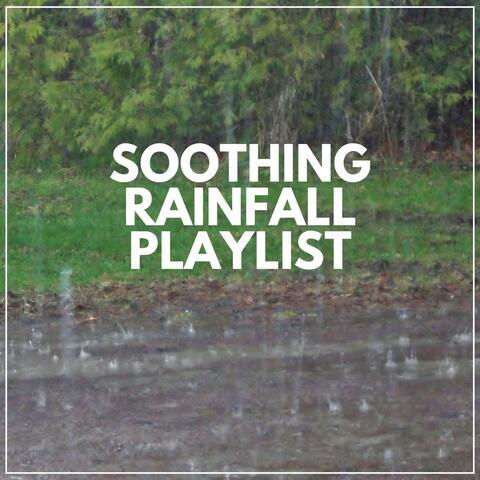 Soothing Rainfall Playlist