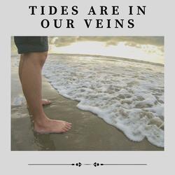 Waves from the Pacific Ocean, Pt. 5