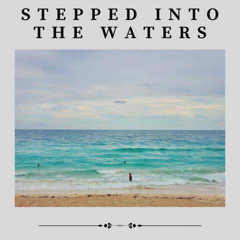 Stepped into the Waters