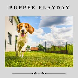 Anxiety Relief Music for Your Dog, Pt. 16