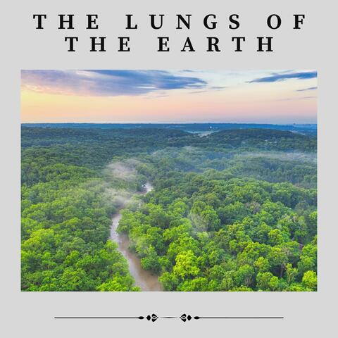 The Lungs of the Earth