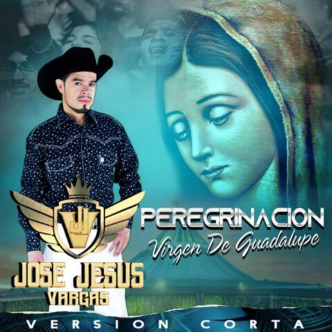 Peregrinación ( Virgen de Guadalupe)