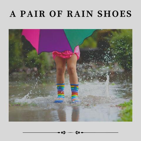 A Pair of Rain Shoes