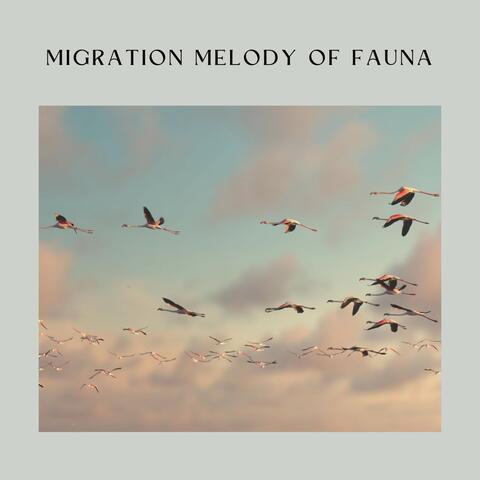 Migration Melody of Fauna