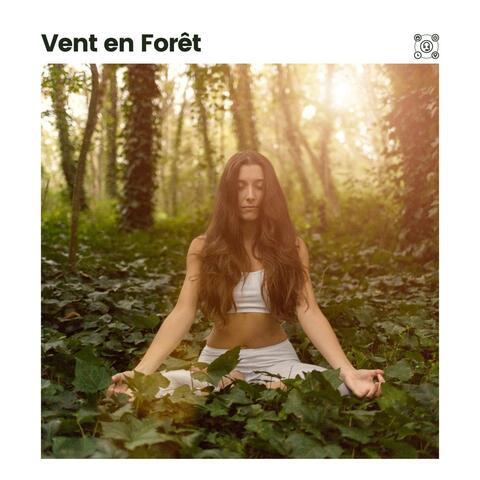 Vent en Forêt