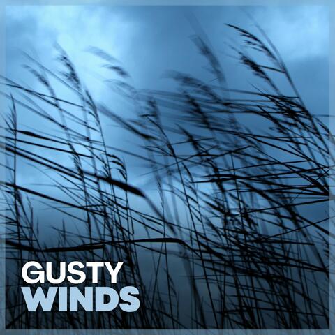 Gusty Winds