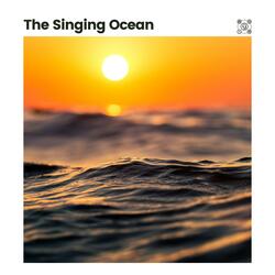 Hi Ocean