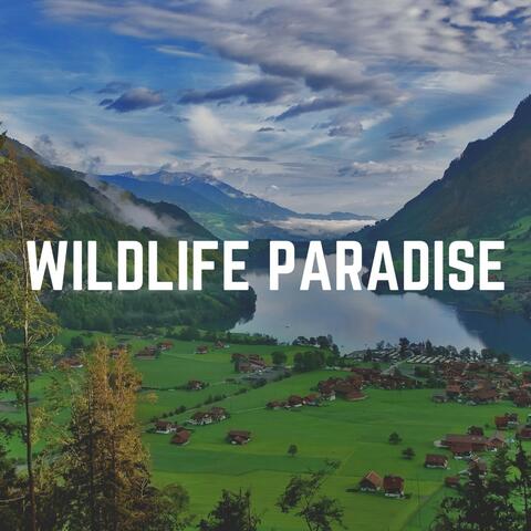 Wildlife Paradise