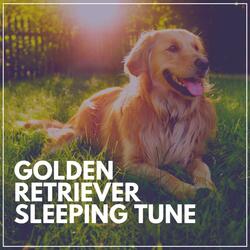 Relaxing Dog Music, Pt. 7