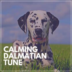 Anxiety Relief Music for Your Dog, Pt. 9