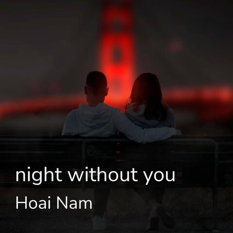 Night Without You