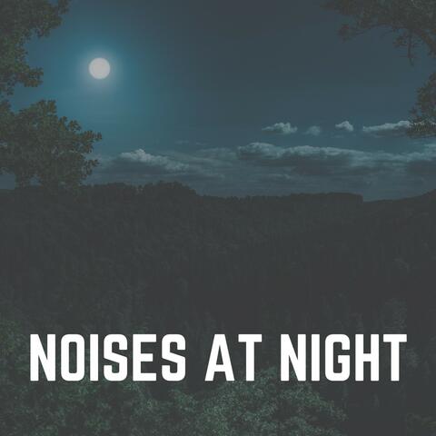 Noises at Night