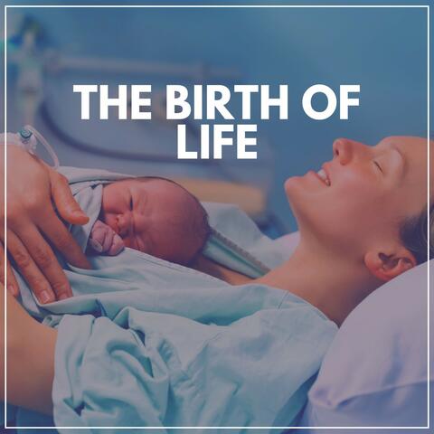 The Birth of Life