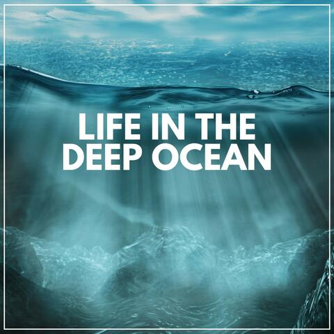 Life in the Deep Ocean