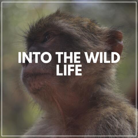 Into the Wild Life