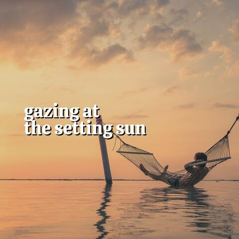 Gazing at the Setting Sun
