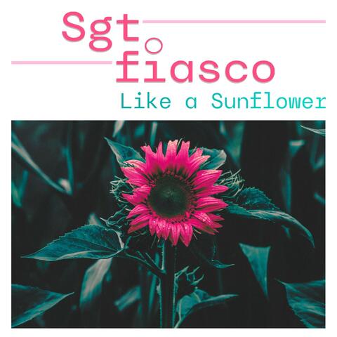Like a Sunflower